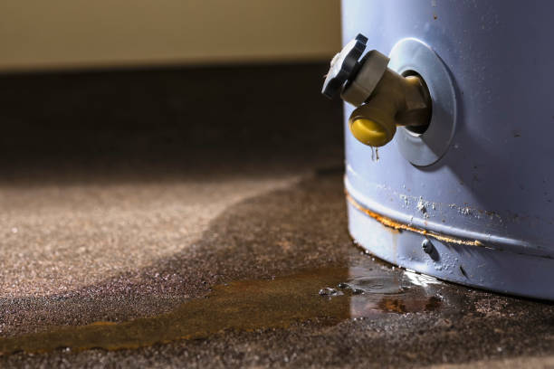 Best Flood damage cleanup  in Bazon, CA