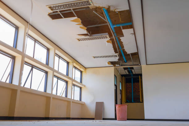 Best Water damage restoration specialists  in Bazon, CA
