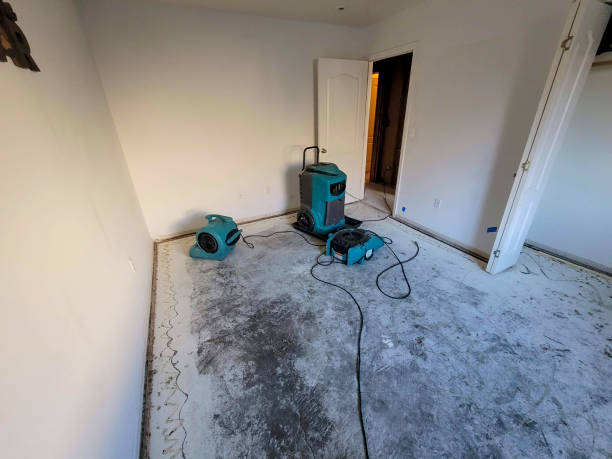 Best Fire Damage Restoration  in Bazon, CA