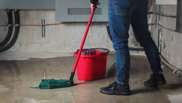 Best Flood restoration services  in Bazon, CA