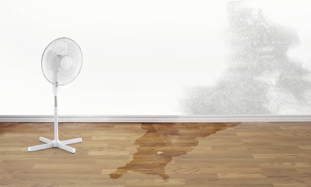 Best Sewage cleanup and water damage restoration  in Bazon, CA