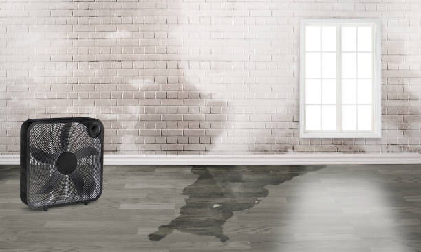Best Water damage restoration near me  in Bazon, CA