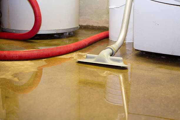 Best Professional water damage repair  in Bazon, CA