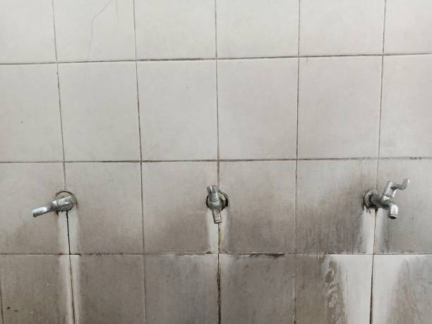 Best Water damage restoration experts  in Bazon, CA