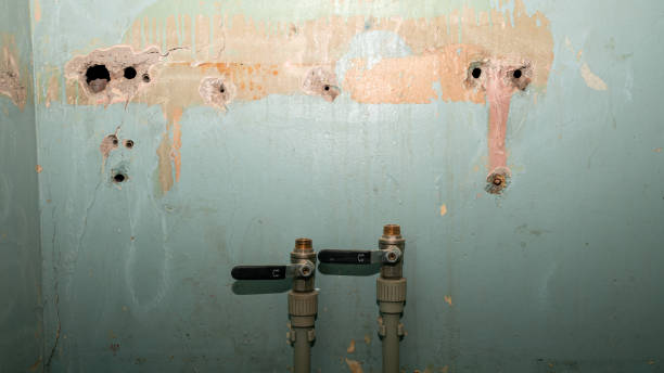  Bazon, CA Water damage restoration Pros