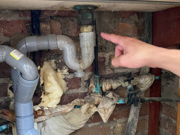 Best Water damage restoration specialists  in Bazon, CA