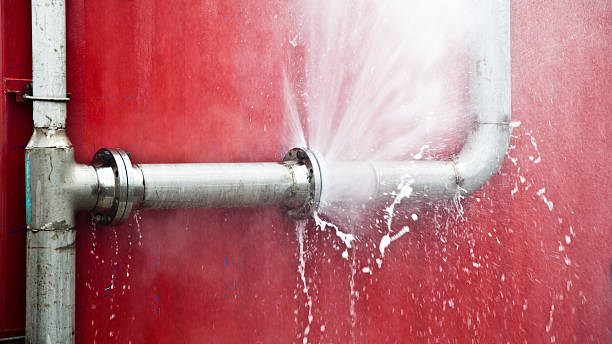 Best Mold removal after water damage  in Bazon, CA